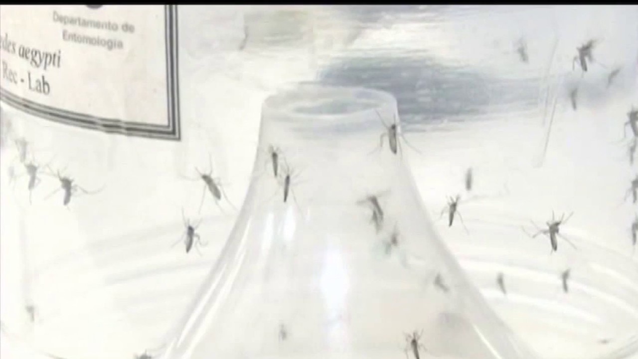 West Nile virus detected near Old National Park