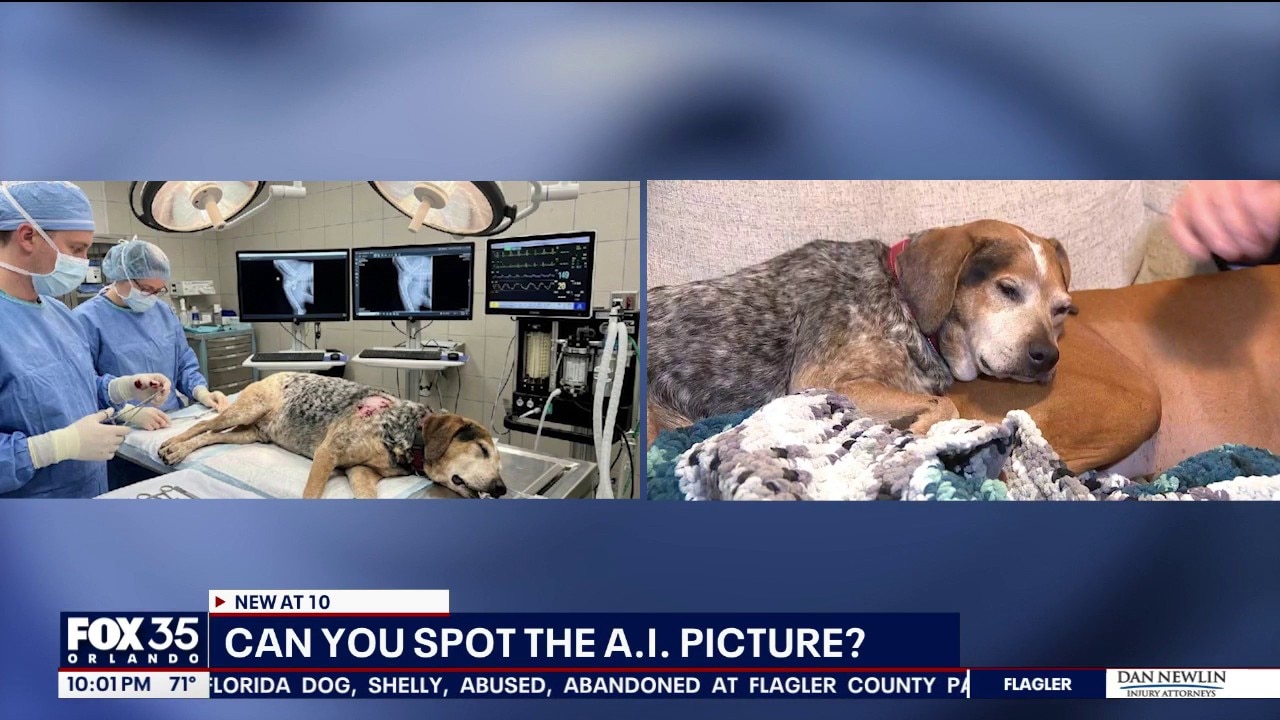 AI-generated images used in scam targeting owners of missing dog