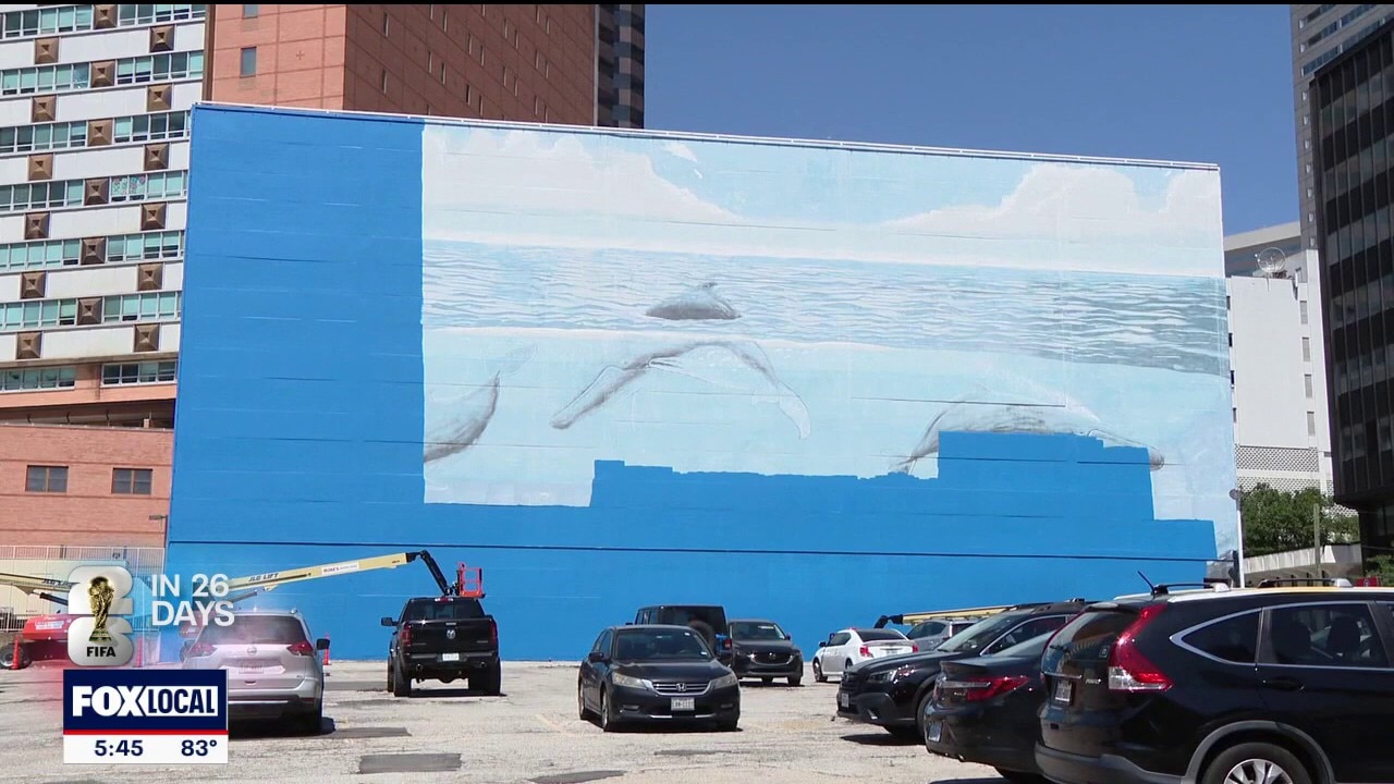 Artist was unaware Dallas whale mural was being removed