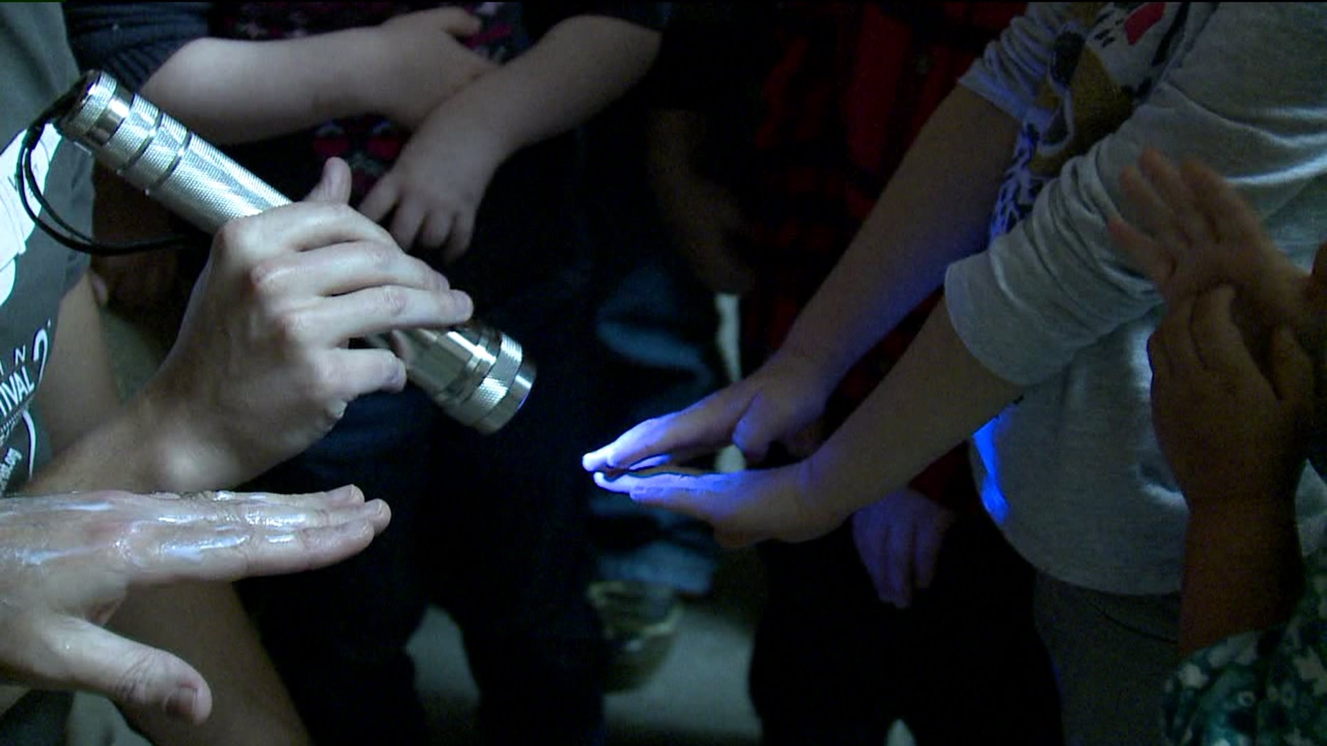 Cycle through science