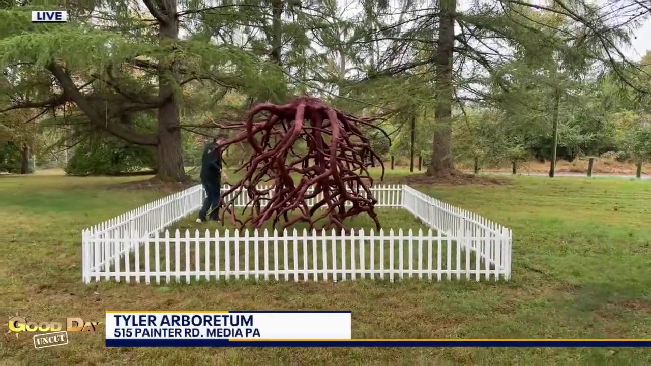 Good Day Uncut: Tyler Arboretum