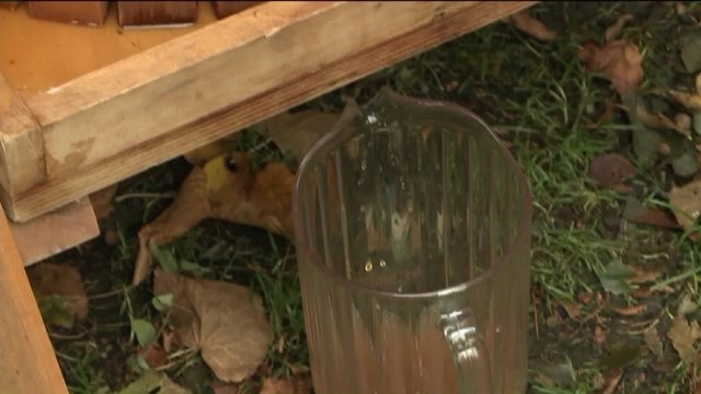 Chip learns how to make apple cider