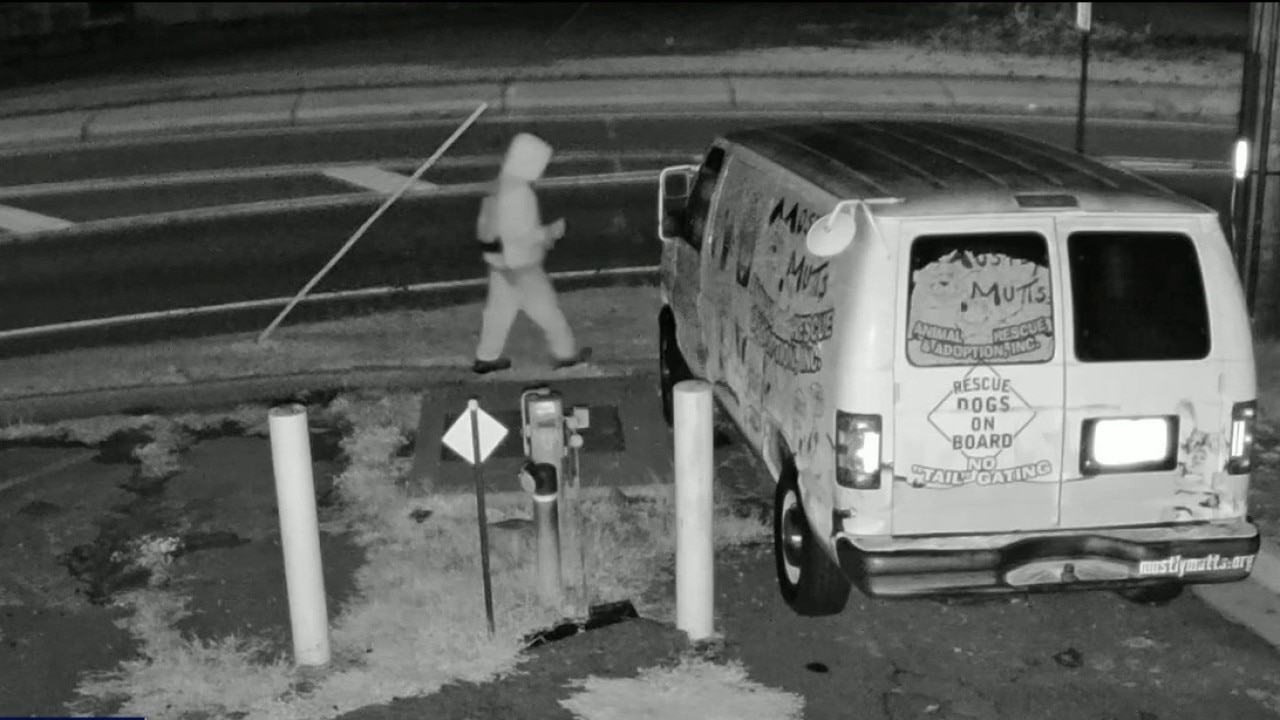 Kennesaw animal rescue van vandalized