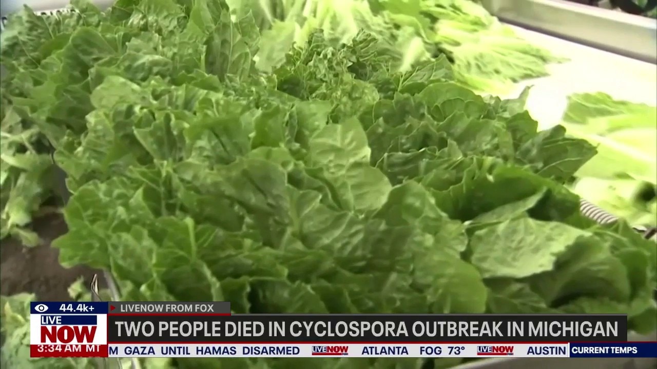 2 people die in Michigan Cyclospora outbreak