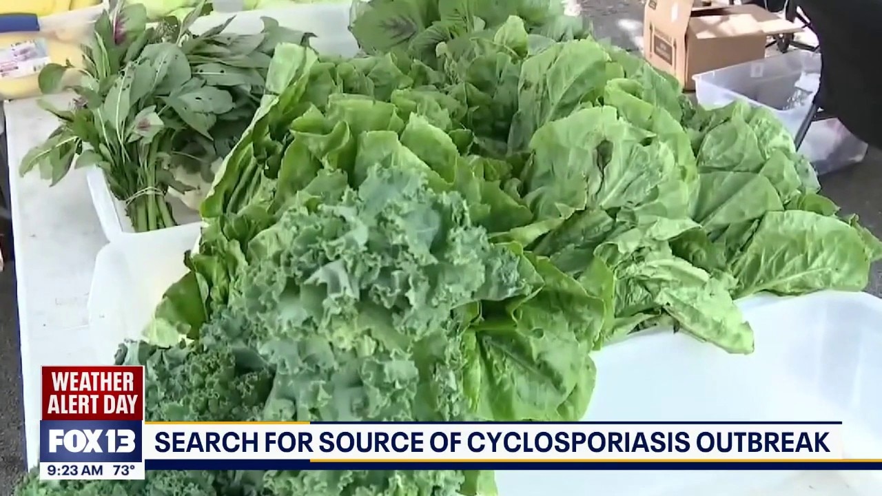 Search for source of cyclosporiasis outbreak continues