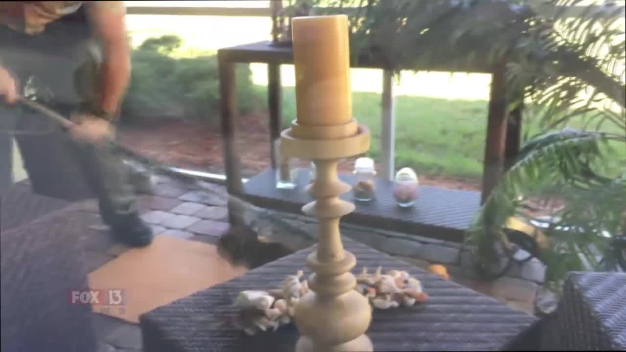 RAW: Rabid bobcat at family's home