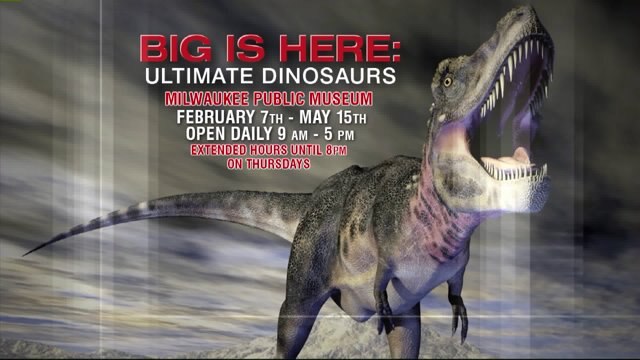 Laura has a blast checking out the dinosaur exhibit