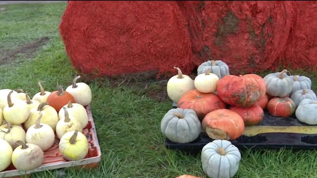 Raprager Farms Fall Festival