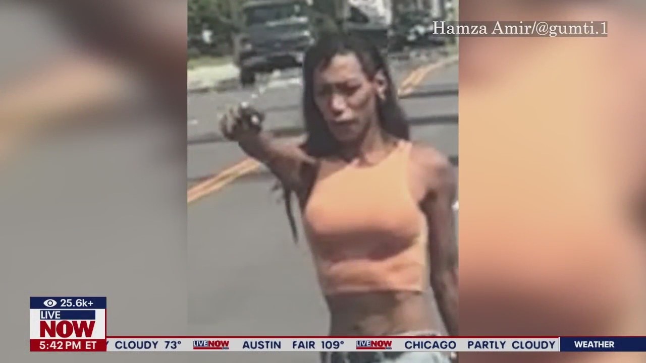 Gun-pointing suspect taken down by NY police