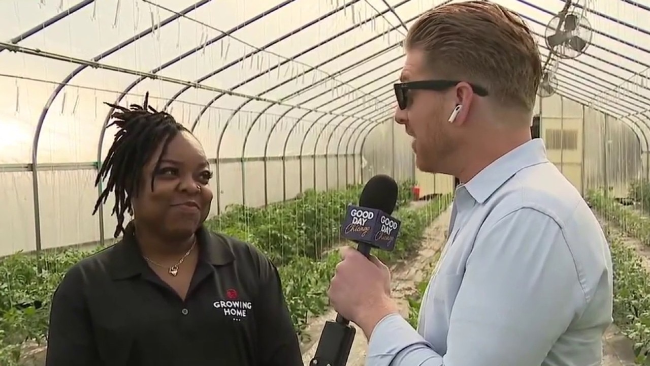 Growing Home blossoms into a community lifeline on Chicago's South Side