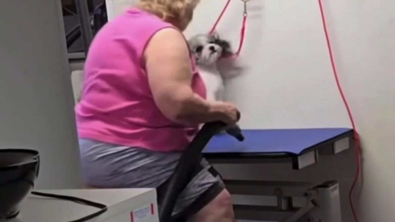 West Bend dog abuse investigation, incident caught on video