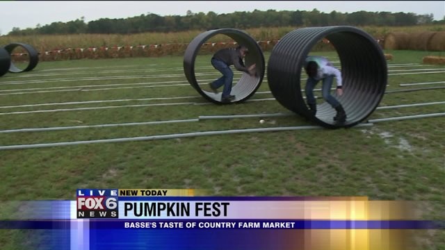 Laura learns about all the fun activities going on during Pumpkin Fest