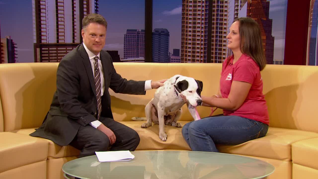 Pet of the Week: Zucy