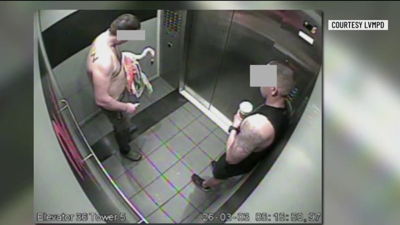 Canadian tourist found guilty of stealing, injuring flamingo