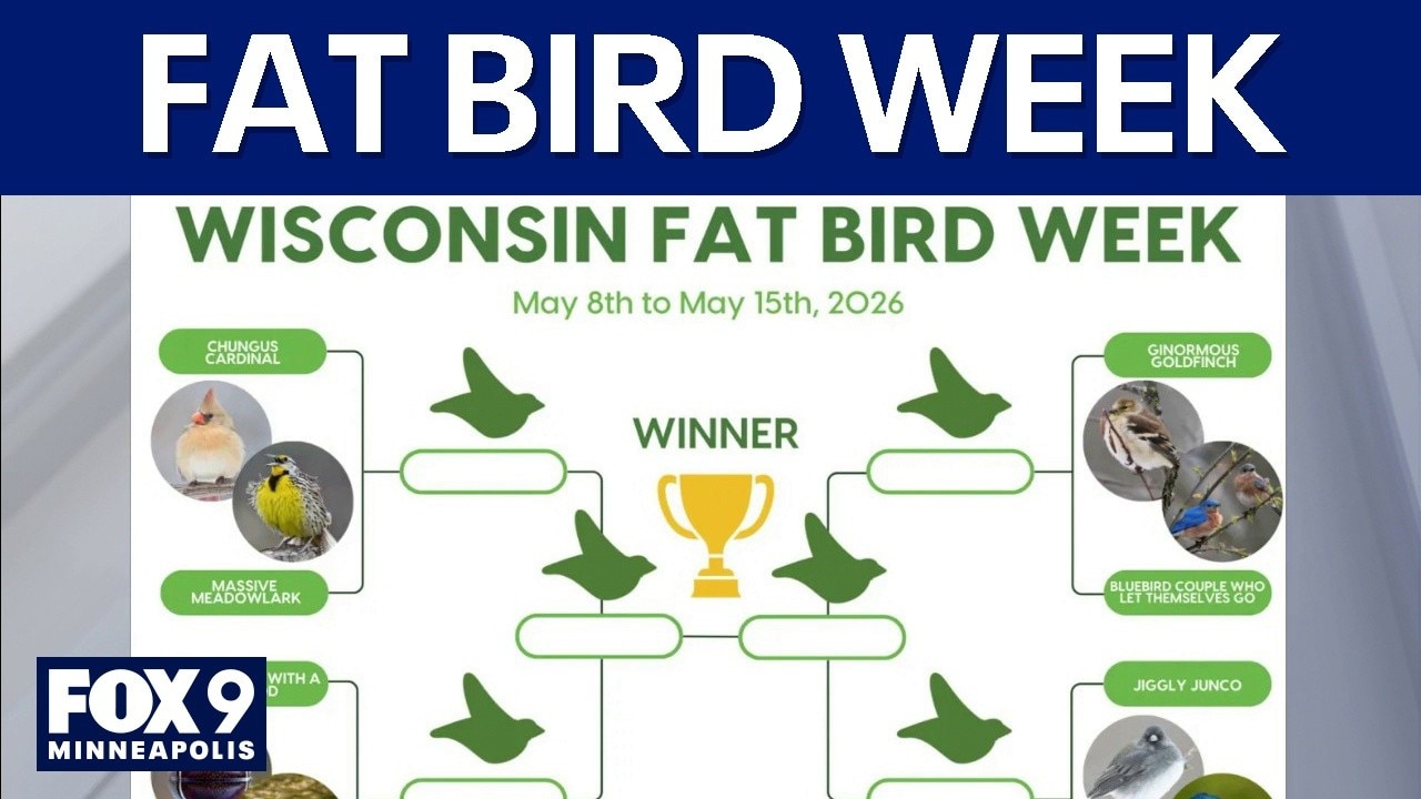 Fat Bird Week begins in Wisconsin