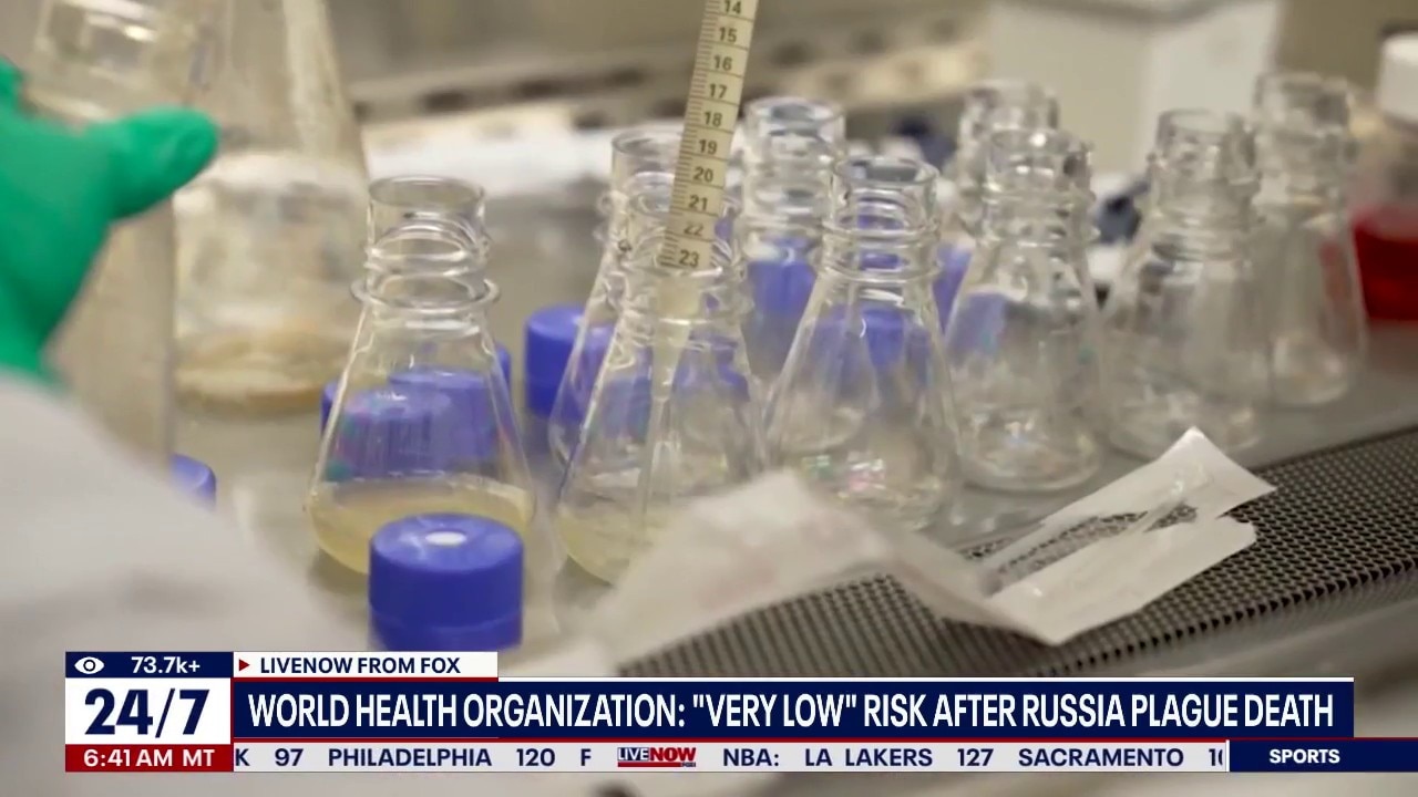 WHO: "Very low" risk of Russia plague spread