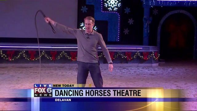 Trick horses at The Dancing Horses Theatre