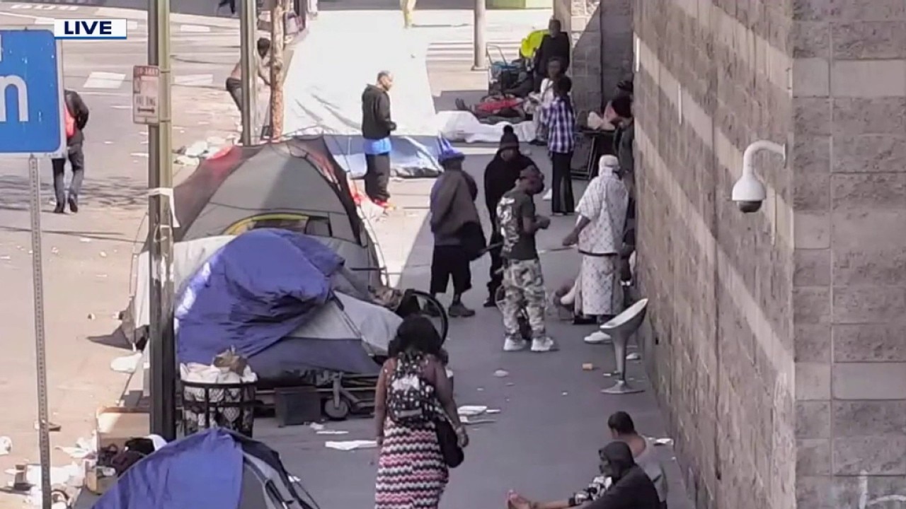Federal complaint targets Skid Row dog abuse crisis