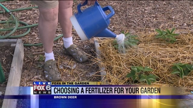 Most vegetables need a boost of fertility in early summer