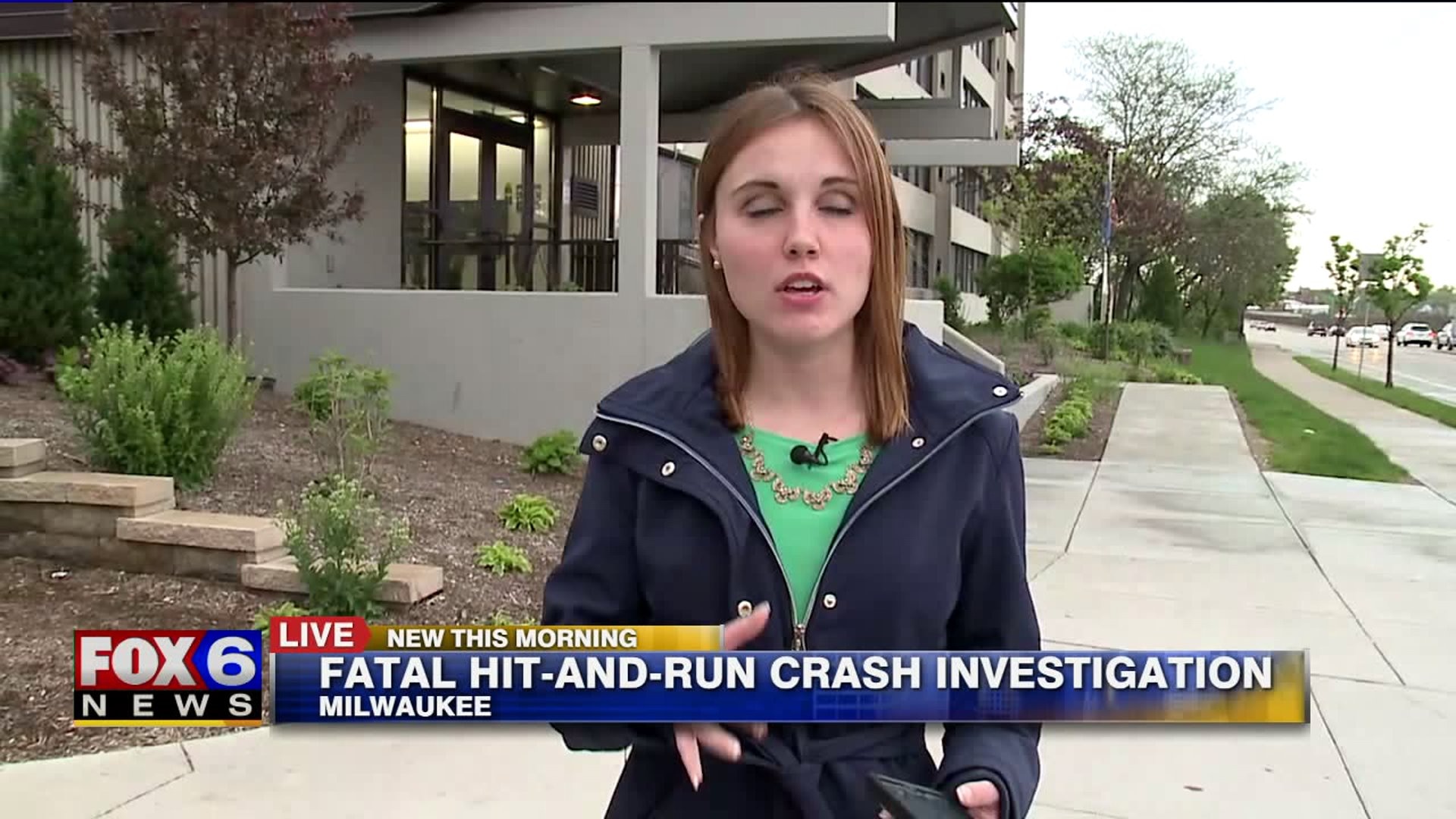 Fatal hit and run sentencing