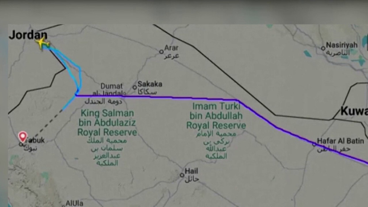 FlyDubai pilot stabs co-pilot, attempts to crash Israel-bound plane