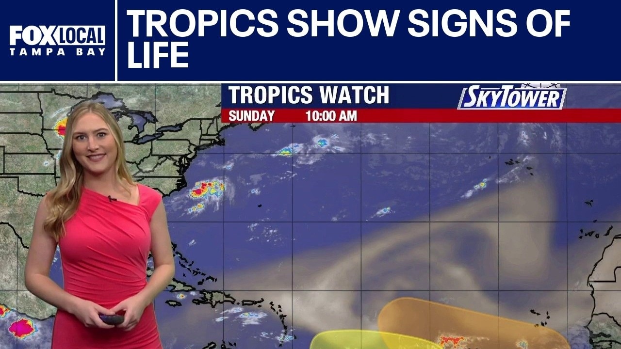 Tropics show signs of life