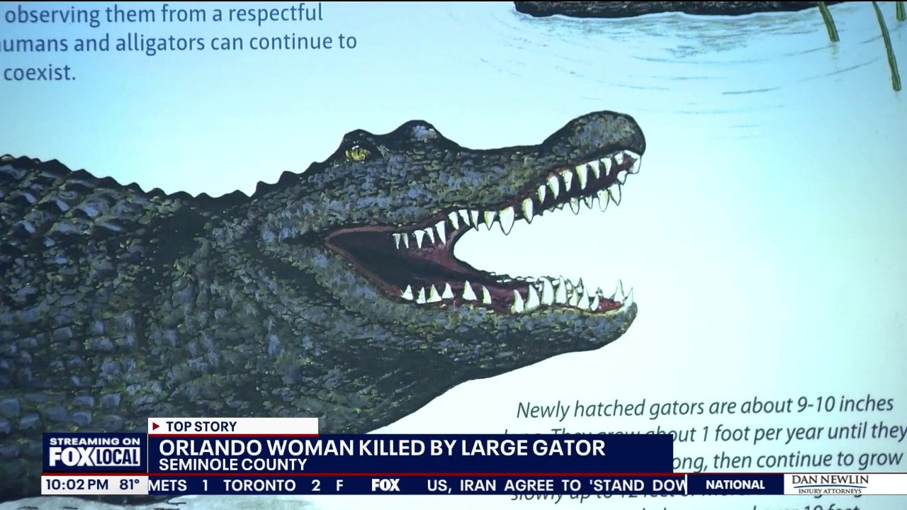 Experts urge caution after deadly alligator attack in Central Florida