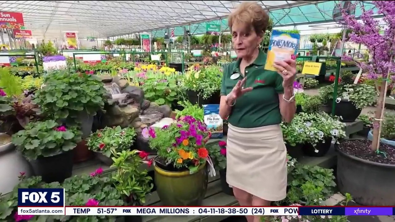 Pike Nursery gives tips on container gardens