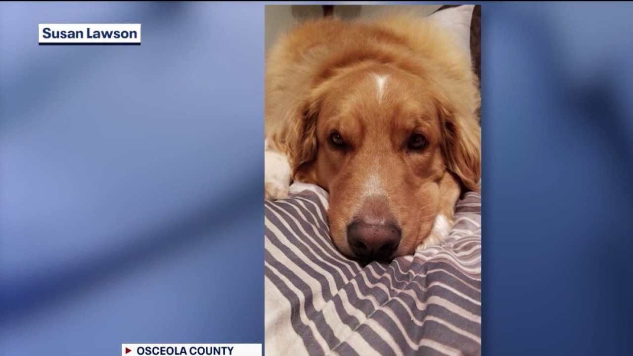 Family visiting Central Florida says dog died after attack