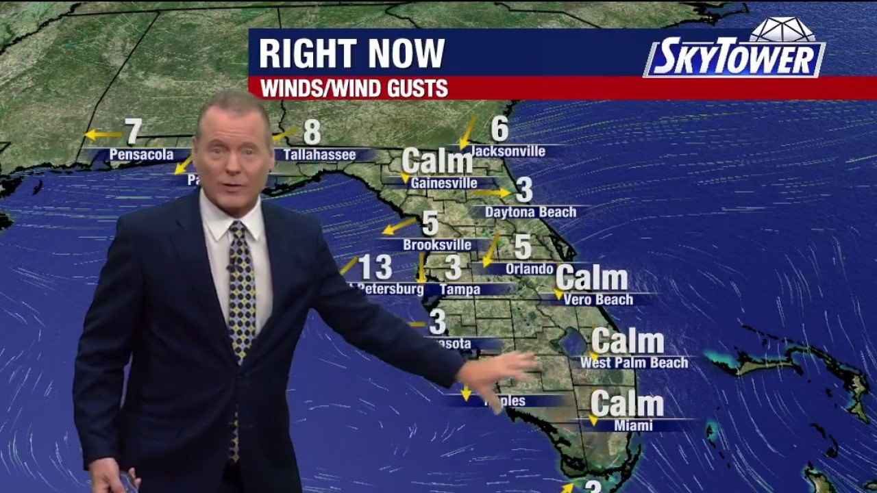 Tampa weather | Tuesday morning forecast