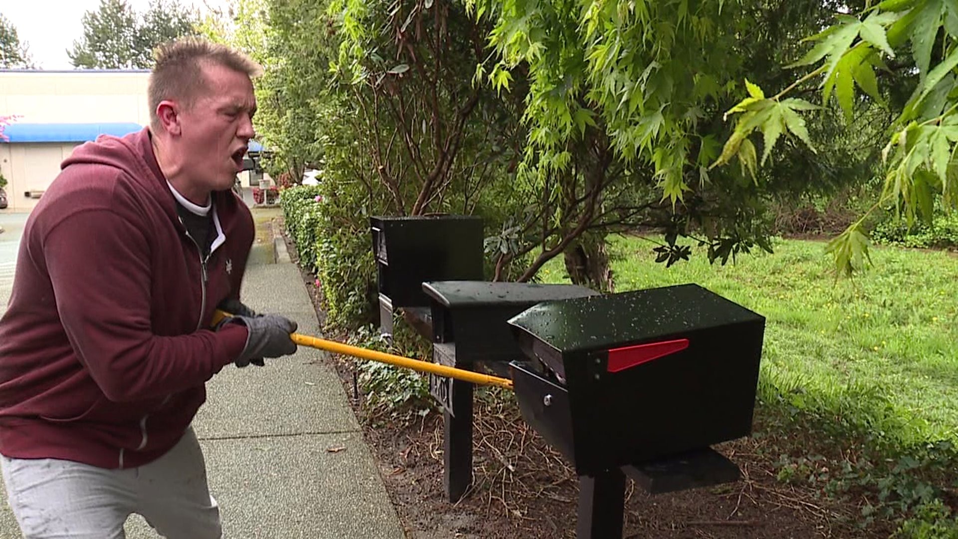 MailBoss Mailbox Back Story