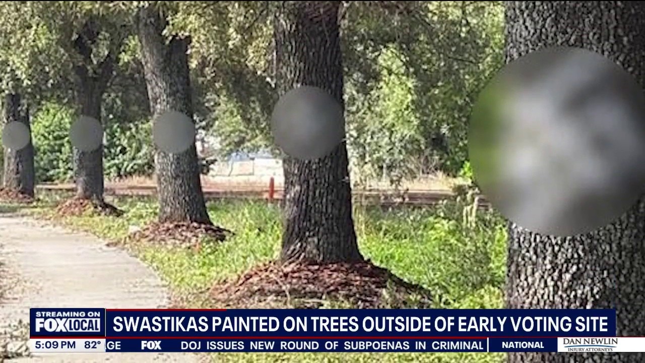 Swastikas painted on trees outside early voting sites