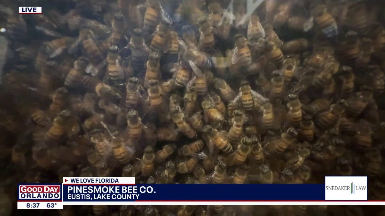 Pinesmoke Bee Company