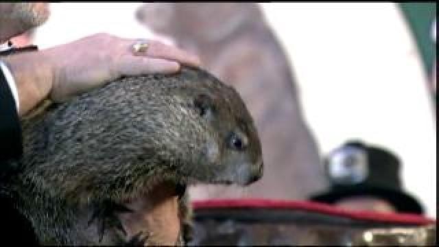 Punxsutawney Phil sees his shadow