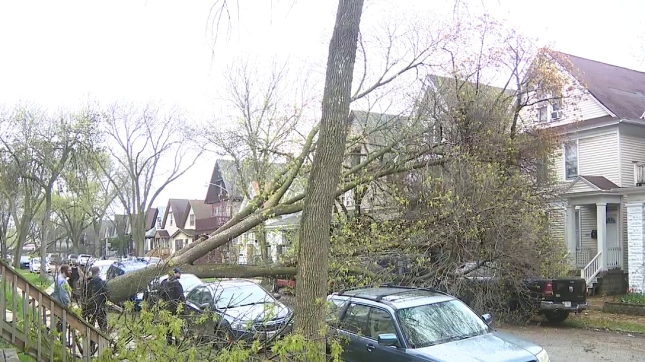 Storm damage from wind gusts on Milwaukee's south side