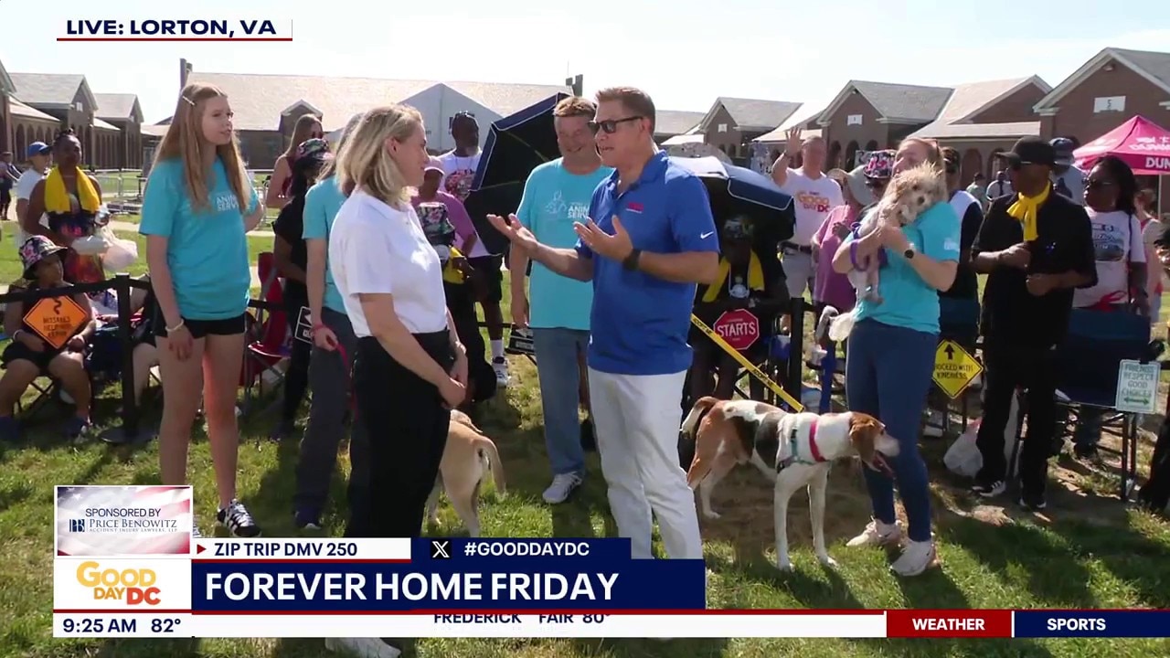 Forever Home Friday
