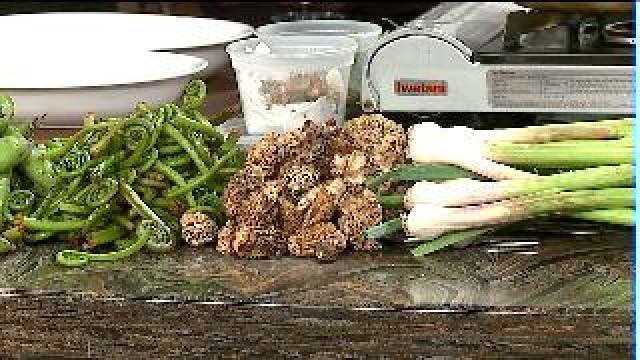 Delicious meatless meals