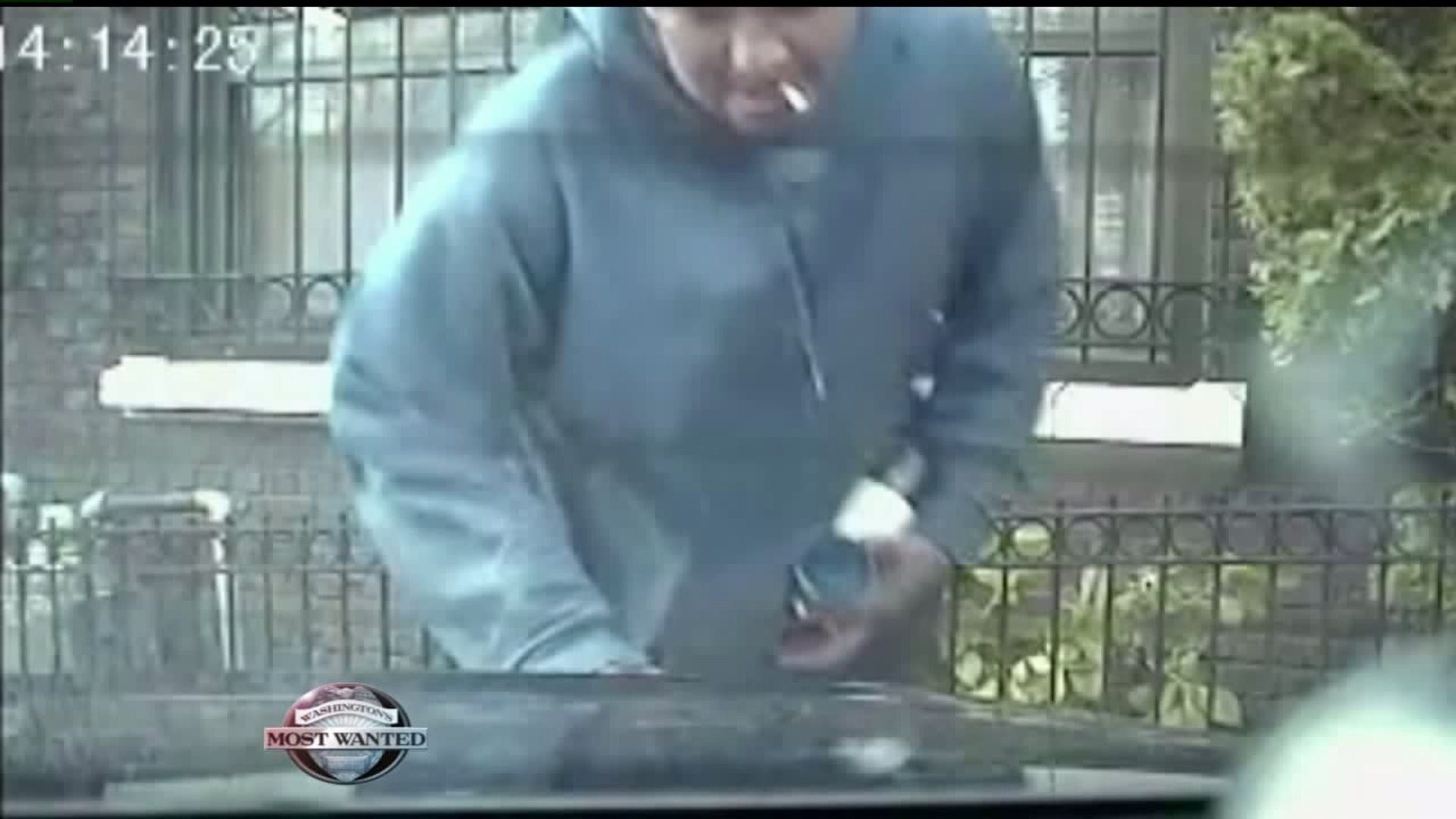 WANTED: Police vehicle-targeting tagger