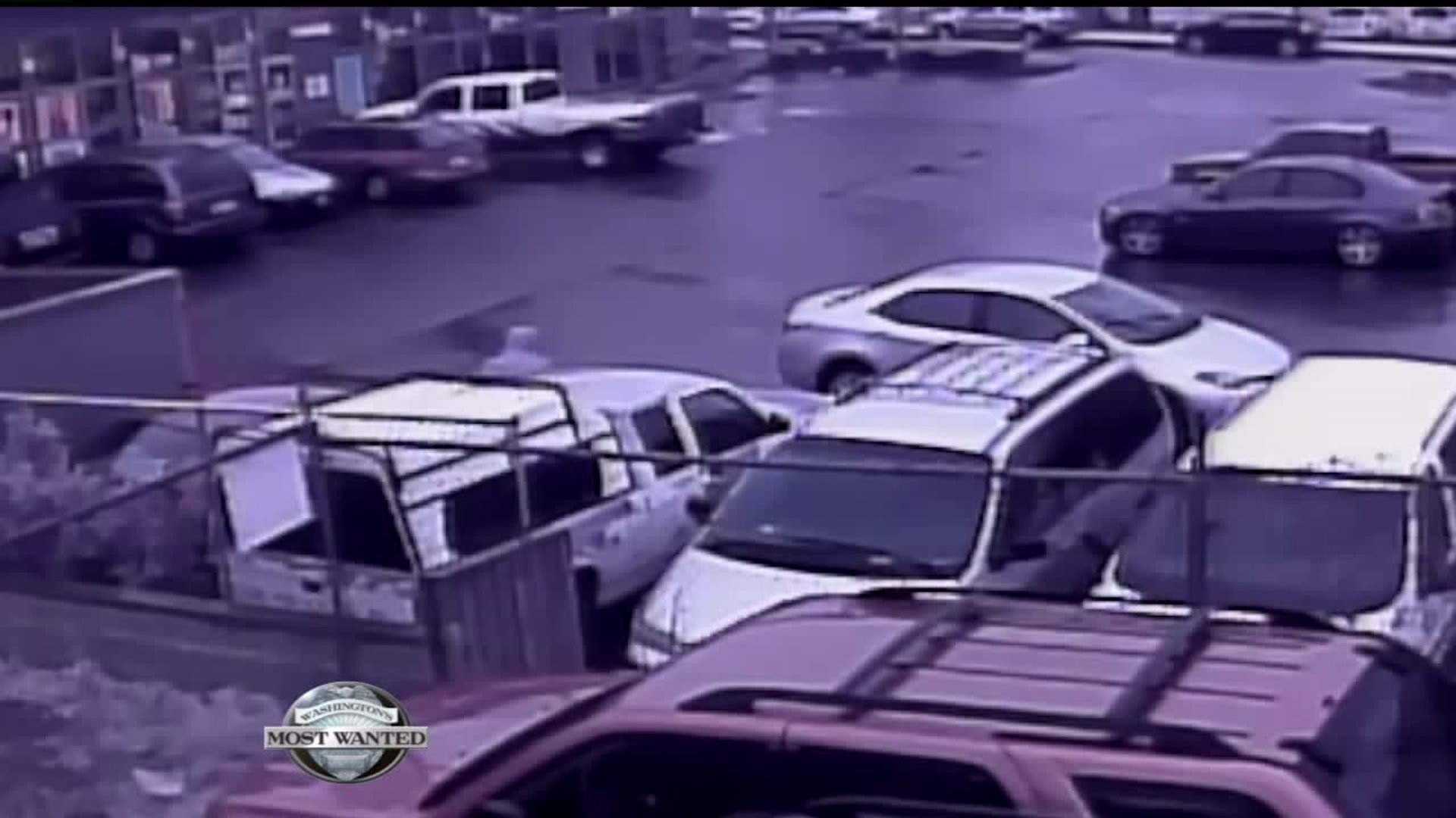 WANTED: Robbers who beat, shot elderly homeowner