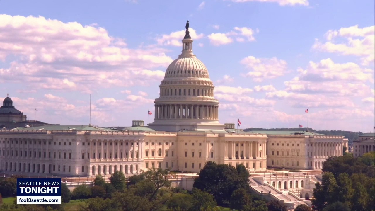 Dems call for regulations as Trump launches AI task force