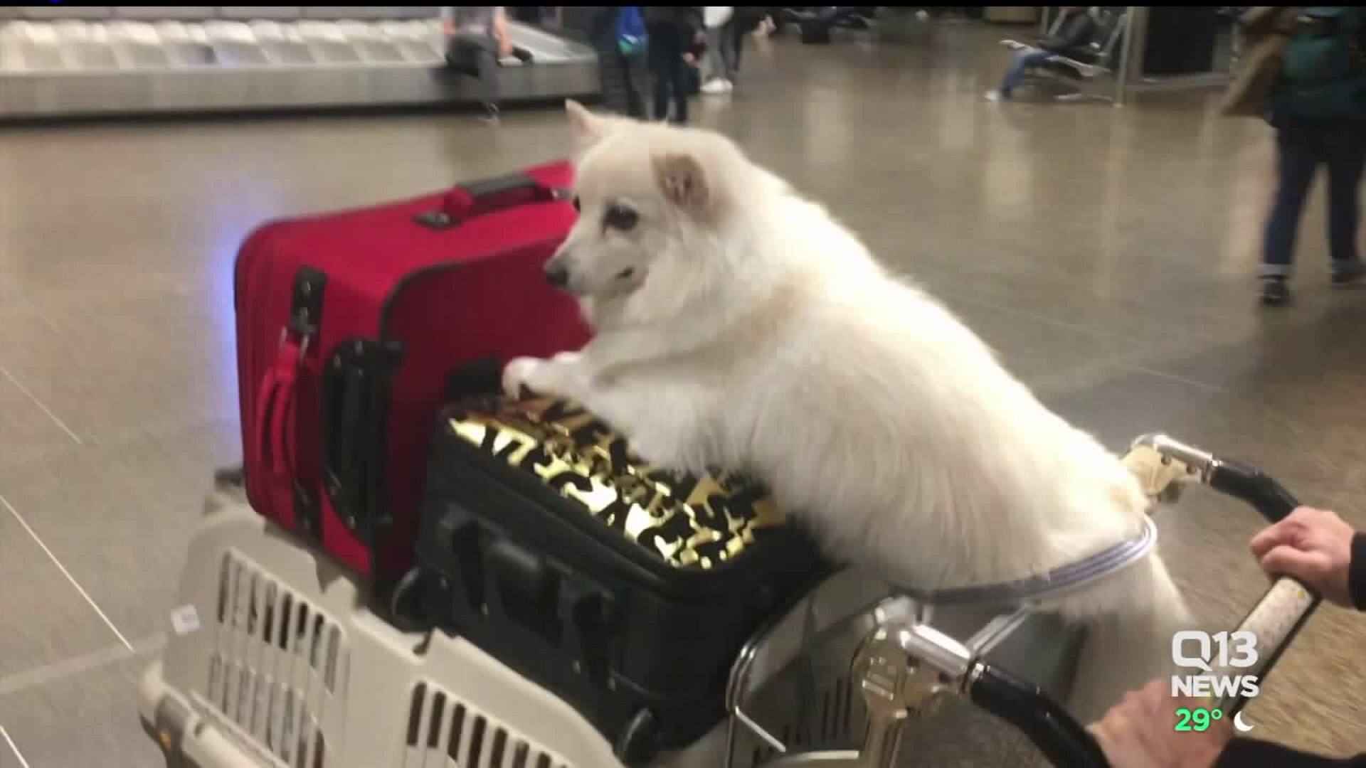LAST MINUTE HOLIDAY FLYING