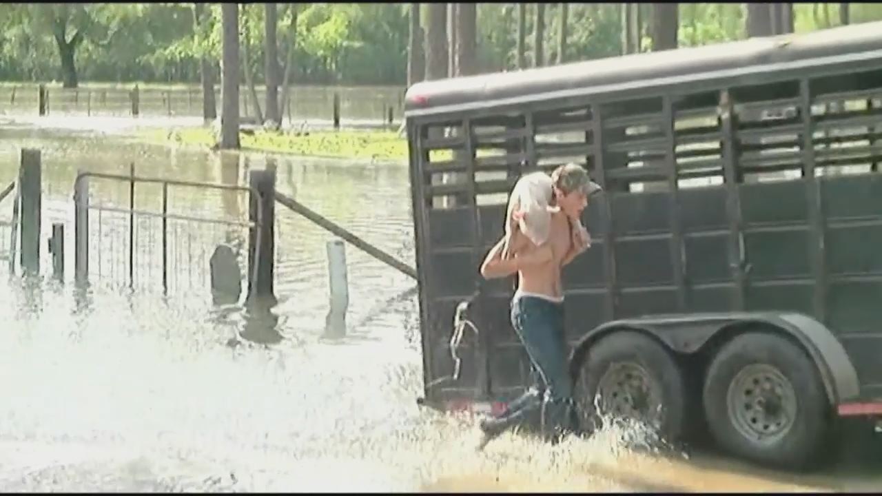 Neighbors rally to rescue animals on flooded farm