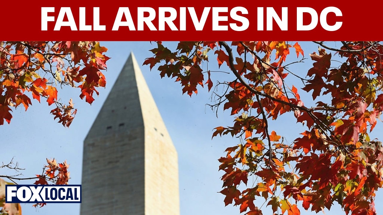 Fall relief arrives in DC as temperatures drop
