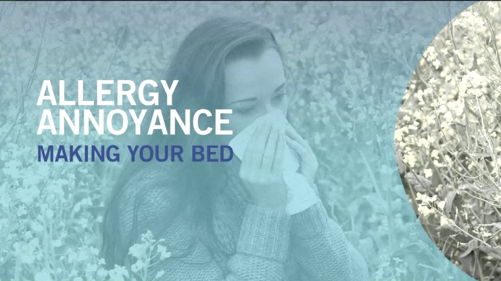 `Tis the season for sneezing: 5 things that could actually be making your allergies worse