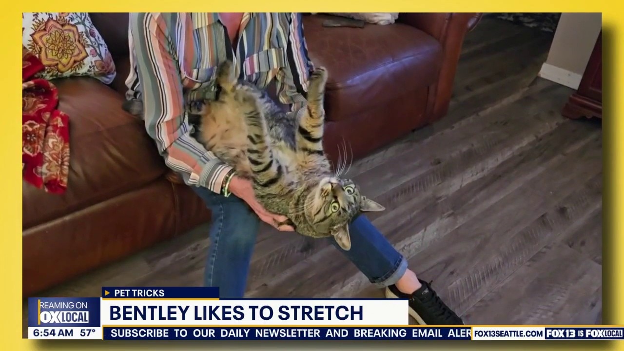 Good Day Pet Tricks for Thursday, Sept. 10