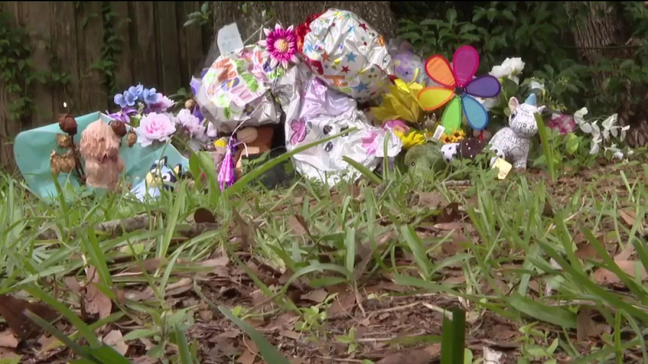 Details in Plant City murder-suicide