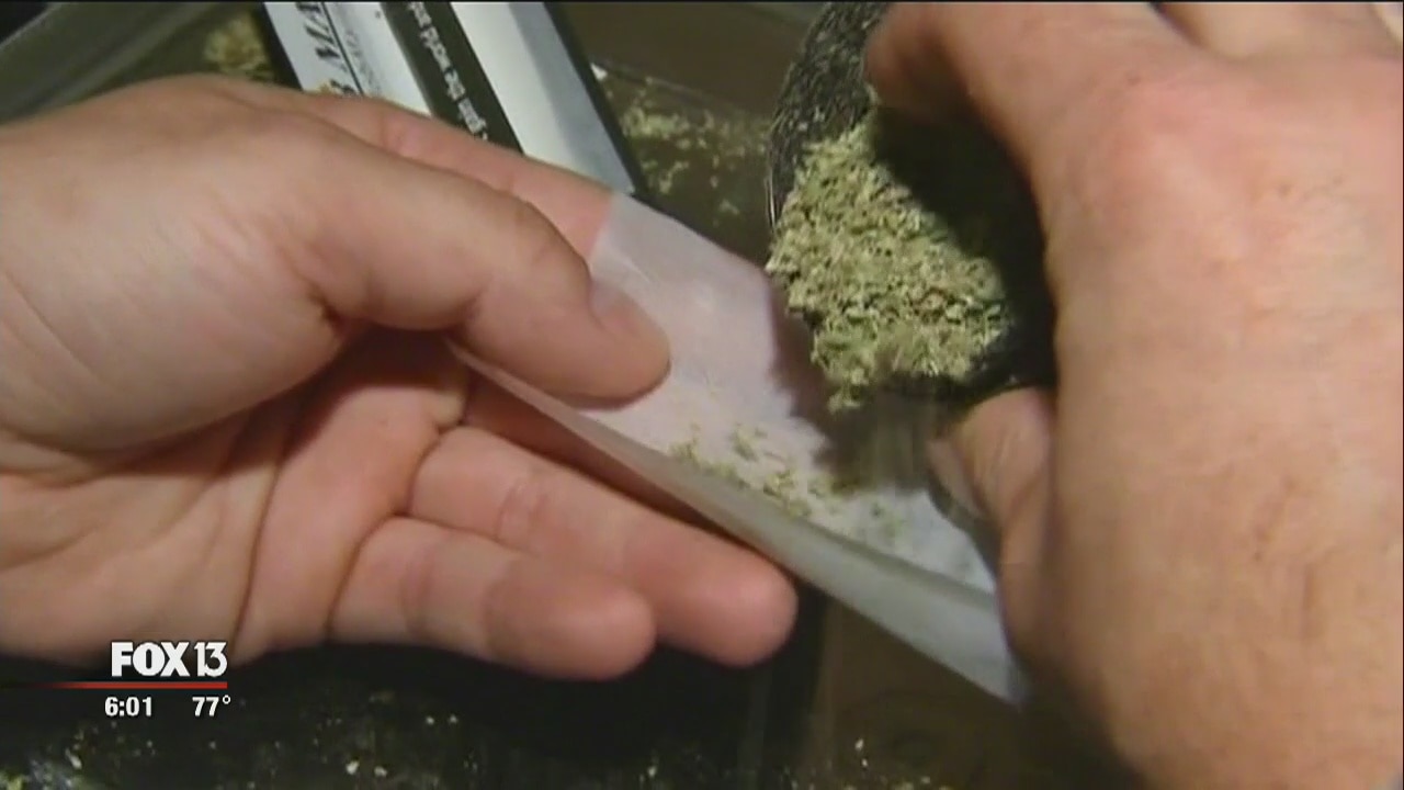 Marijuana laws change in Tampa