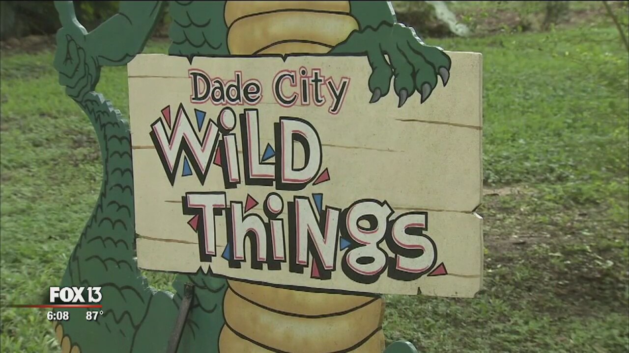 Suit prompts park to get rid of tigers