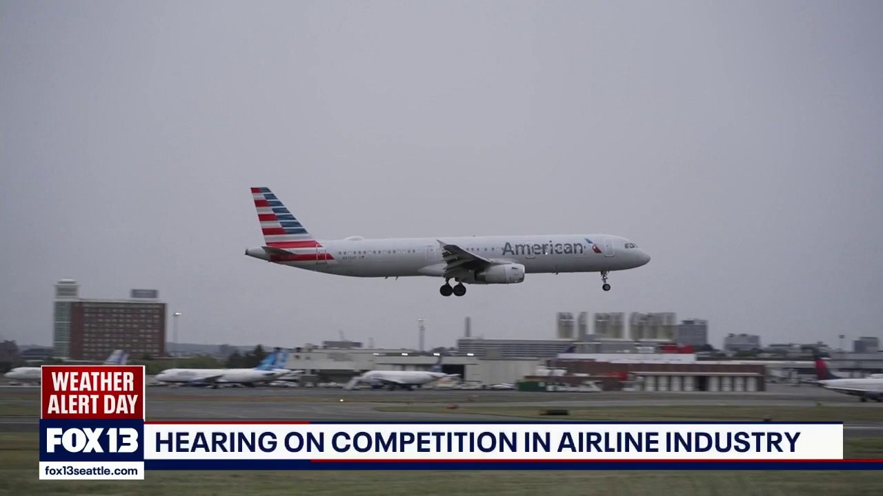 Congress grills US airline industry