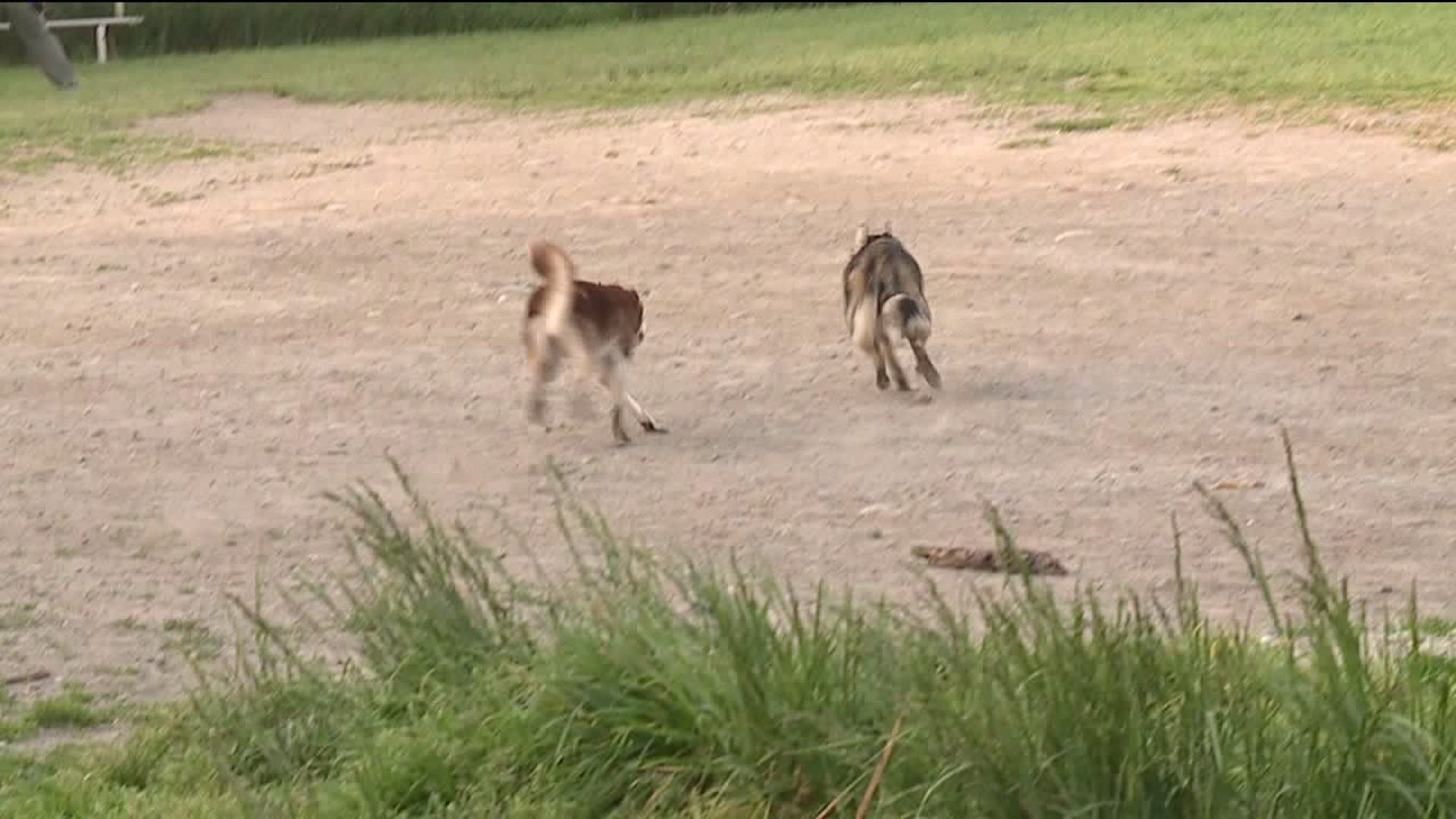 PEMCO preventing dog bites